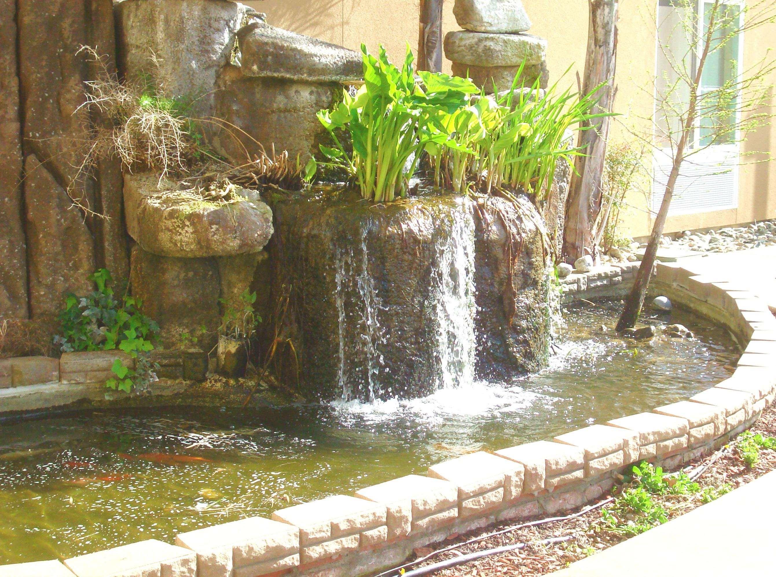Hampton Inn & Suites Red Bluff Luaran gambar